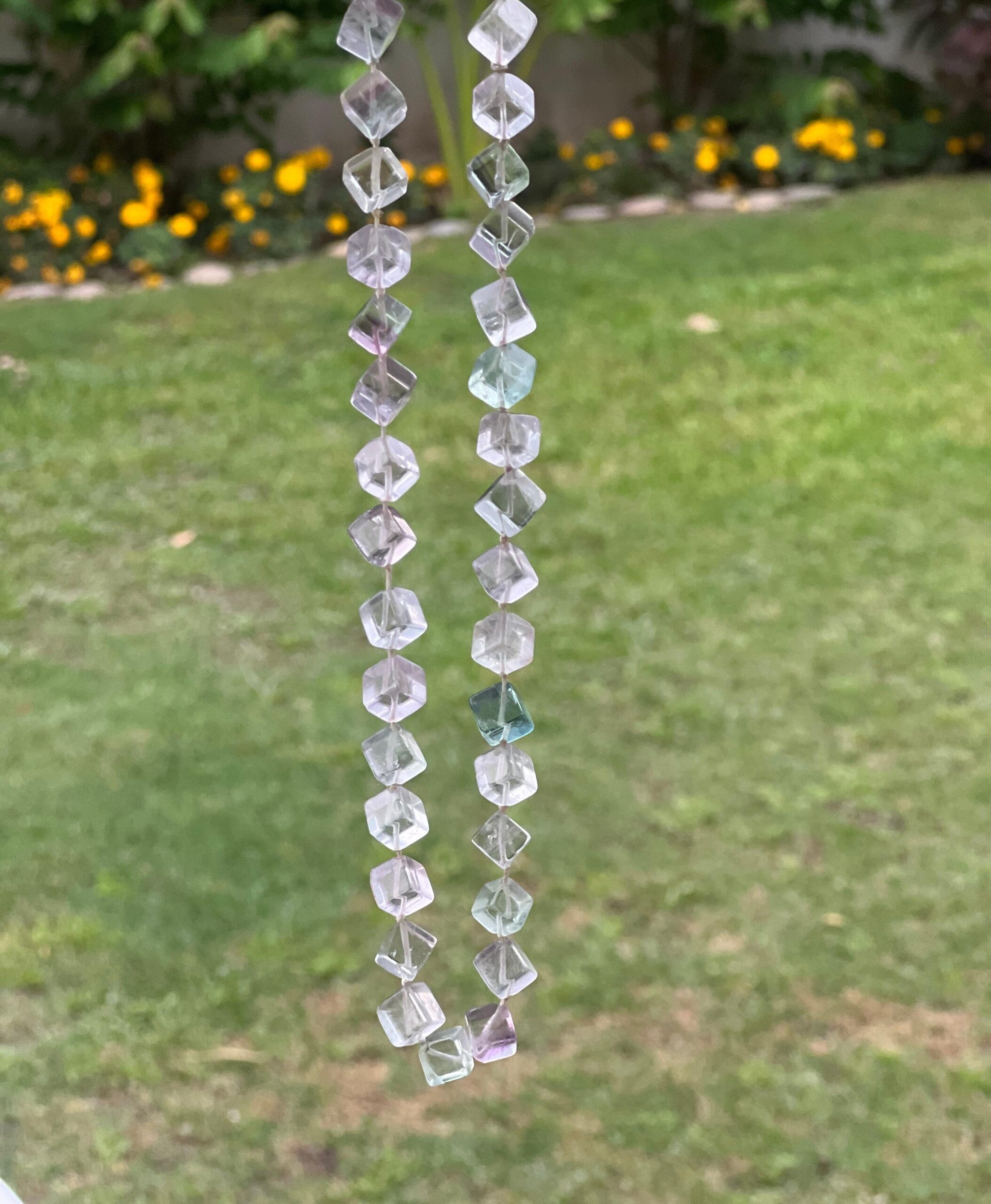 WhatsApp Image 2026-04-03 at 17.04