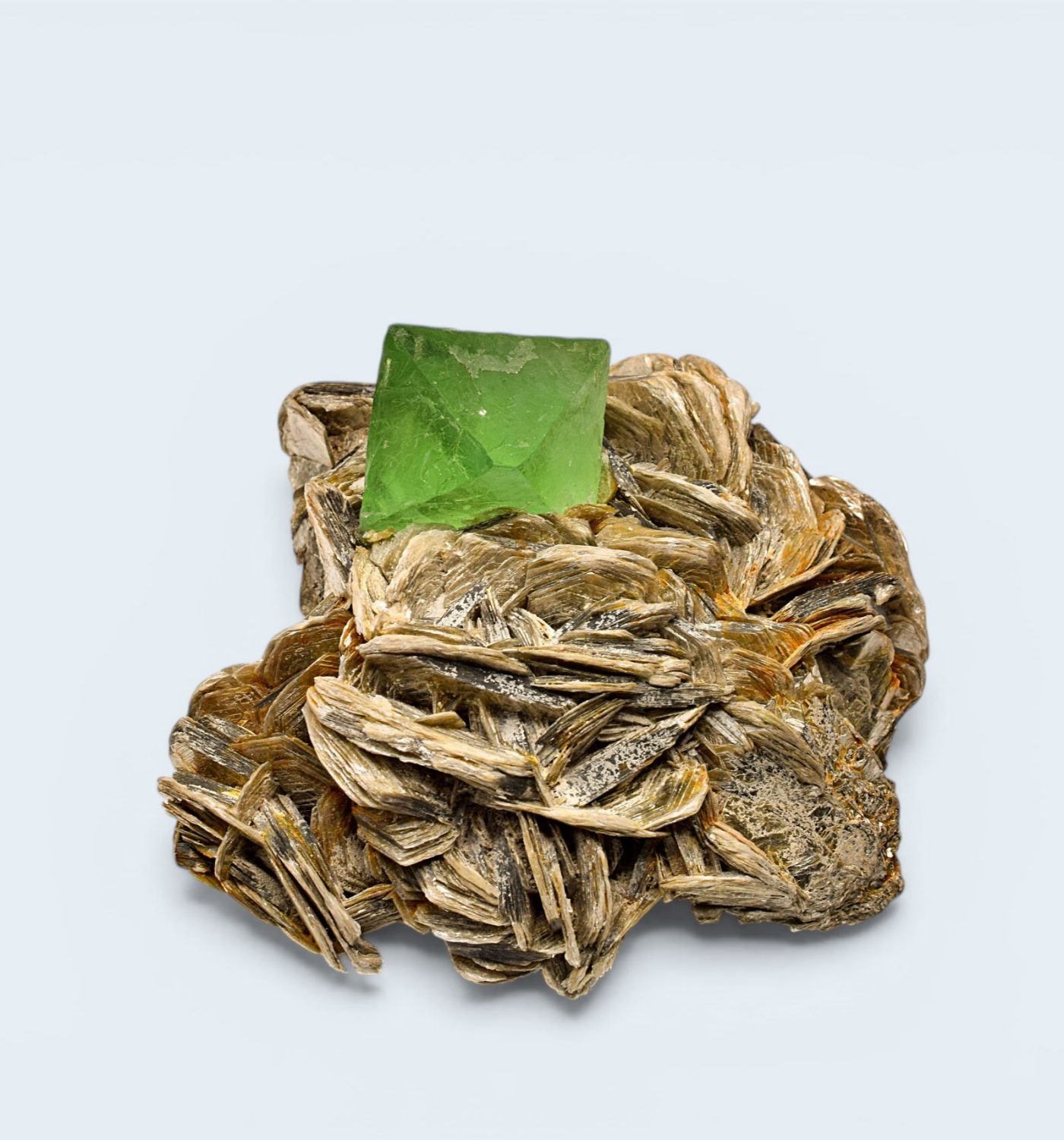 DSC_0157-1-X-scaled (1)